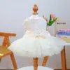 Fornecimento Direto da Fábrica/Pronto para Envio Novos Produtos Roupas para Pets, Roupas para Cães e Gatos, Fio Fofo Galáxia Azul Vestido de Casamento