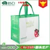 Bolsa de tela Lixin RPET transfronteriza no tejida bolso de mano personalizado bolsa de compras verde fábrica de impresión a color al por mayor