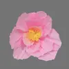 Materiais de Criação Ambiental para Jardim de Infância Flores Coloridas de Papel Crepom Decorações de Parede Culturais Feito à Mão DIY Parede Criativa