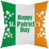 Calle Amazonas. Funda de Almohada Verde del Día de San Patricio Temu Xiyin Jit Dropshipping Funda de Cojín para Sofá Funda de Cojín de Cintura Impresa