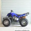 Exportar Quadriciclo Atv 250cc para Adulto, Veículo Todo-o-Terreno Atv Moto Off-Road de Quatro Rodas, Atv Grande Atv
