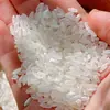 25 Nuevo ArrozOrgánico Arroz Wuchang 2.5kg Paquete Bolsa de Regalo Trazable 2.5kg Daohua Xiang No.2 Grano Largo