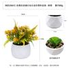 Mini piedra de diamante de Amazon, simulación de plástico, combinación carnosa, adornos de escritorio, simulación de planta verde, planta carnosa pequeña en maceta.