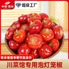 Fábrica de Fonte de Alimentos Zhuohao Pimentas Lanterna Inteiras em Conserva para Culinária Sichuanesa, Uso Comercial e Especializadas para Rãs Touro em Conserva de Pimenta