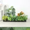Paisagismo com Plantas Verdes Simulação Floreira Divisória de Piso Arte Floral de Chão Paisagem de Plantas Combinação de Floreira Flor Artificial em Vaso Bonsai Decoração
