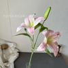 Fornecimento direto da fábrica Decoração de casa Lírio 3D Casamento transfronteiriço Atacado INS Flor de simulação Flor artificial Conjunto de adereços para fotografia