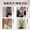 Wanfang Coroa da Longevidade Flor Begônia em Vaso Resistente ao Frio Seda de Jade Colorida Muda de Jardim Velho Tronco Flor de Bonsai Planta Anã