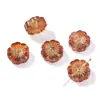 Cuentas de Vidrio Checo con Diseño de Flor de Ciruelo Pintada en Oro de 14 mm, Cuentas Sueltas de Flor de Cinco Pétalos con Agujero Central, Materiales para Pulsera de Cuentas Hecha a Mano y Pasador de Pelo