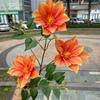 Comercio exterior 3D flor artificial con tacto real, 3 cabezas de alambre con tacto real, loto magnolia, decoración suave para bodas, decoración del hogar, flor falsa al por mayor