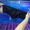 004 Yimanwenshi Calzoncillos Sexy de Baja Cintura con Bolsillo Curvo en U para Hombre de Moda de Seda Helada Cobertura Media de Glúteos Estrechos de Secado Rápido