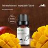 Óleo essencial de manga para óleo essencial frutado para o exterior perfume caseiro sabonete 10ml amostra