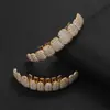 Rejillas Dentales de Hip Hop Más Vendidas Transfronterizas Rejillas de Diamante de 10 Dientes Accesorios de Dientes de Vampiro para Halloween