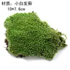 Paisagem em Miniatura Bonsai Materiais DIY Vasos de Flores para Jardinagem Plantas Suculentas Pequenos Ornamentos Animais Pequenos Criativos Decorações de Plantas em Vasos