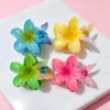 Novo Prendedor de Cabelo Borboleta Plumeria Transfronteiriço Amazon Cor de Doce Flor de Praia Prendedor de Cabelo Doce Acessório de Cabelo para Mulheres