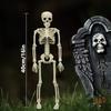 Juguete de terror de Amazon, esqueleto de Halloween, cuerpo completo, esqueleto móvil, barra, cámara, accesorios de estilismo