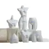 Accesorios de Modelo de Ropa Interior Torso Femenino Masculino Soportes de Exhibición de Ventana de Plástico Maniquí Apilamiento de Pecho De Zhu
