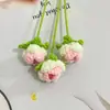 Rosas Acabadas Feitas à Mão em Crochê de Lã para Decoração de Casa, Miosótis, Margaridinhas, Rosas Bolha, Flores Artificiais de Alta Qualidade