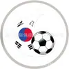 Diapositivas para Zapatos de Equipo de Fútbol del Mundial con Luz LED Intermitente Accesorios para Zapatos Impresos en UV