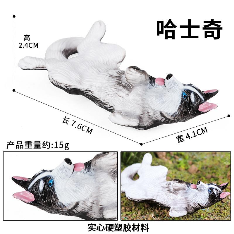 哈士奇