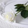 Rosas de simulación ramo falso tacto hidratante de alta gama individuales boda hotel hogar decoración Día de San Valentín rosas
