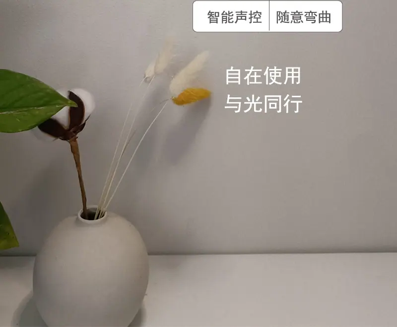 未标题-2_04.jpg