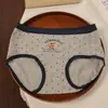 Roupa íntima feminina 100% algodão, estilo britânico, design de urso, antibacteriana grau 10A, entrepernas estendido, algodão grau A para meninas, tamanho grande