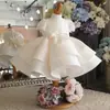 Vestido de menina com laço, vestido fofo de princesa, vestido de florista para o primeiro aniversário infantil, fantasia de anfitriã de festa de aniversário para meninas