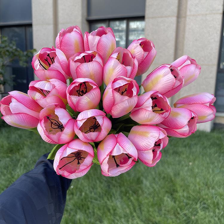 20头把束花蕊郁金香-粉色.JPG