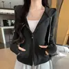 Moletom Básico com Capuz e Zíper Duplo para Mulheres, Temporada Outono/Inverno, Consciente do Design, Simples, Casual, Versátil, Jaqueta Cropped, Blusa de Manga Longa