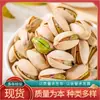 Pistacho mayoreo a granel a granel liso snacks nueces lote sin blanquear sal horneado original fábrica de pistachos
