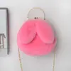 Bolso de Peluche para Mujer Cruzado de Mano Bolso de Princesa Bolso Nuevo con Cadena Bolso Versátil de Orejas de Conejo Bolso de Piel Femenino Bolso de Mujer