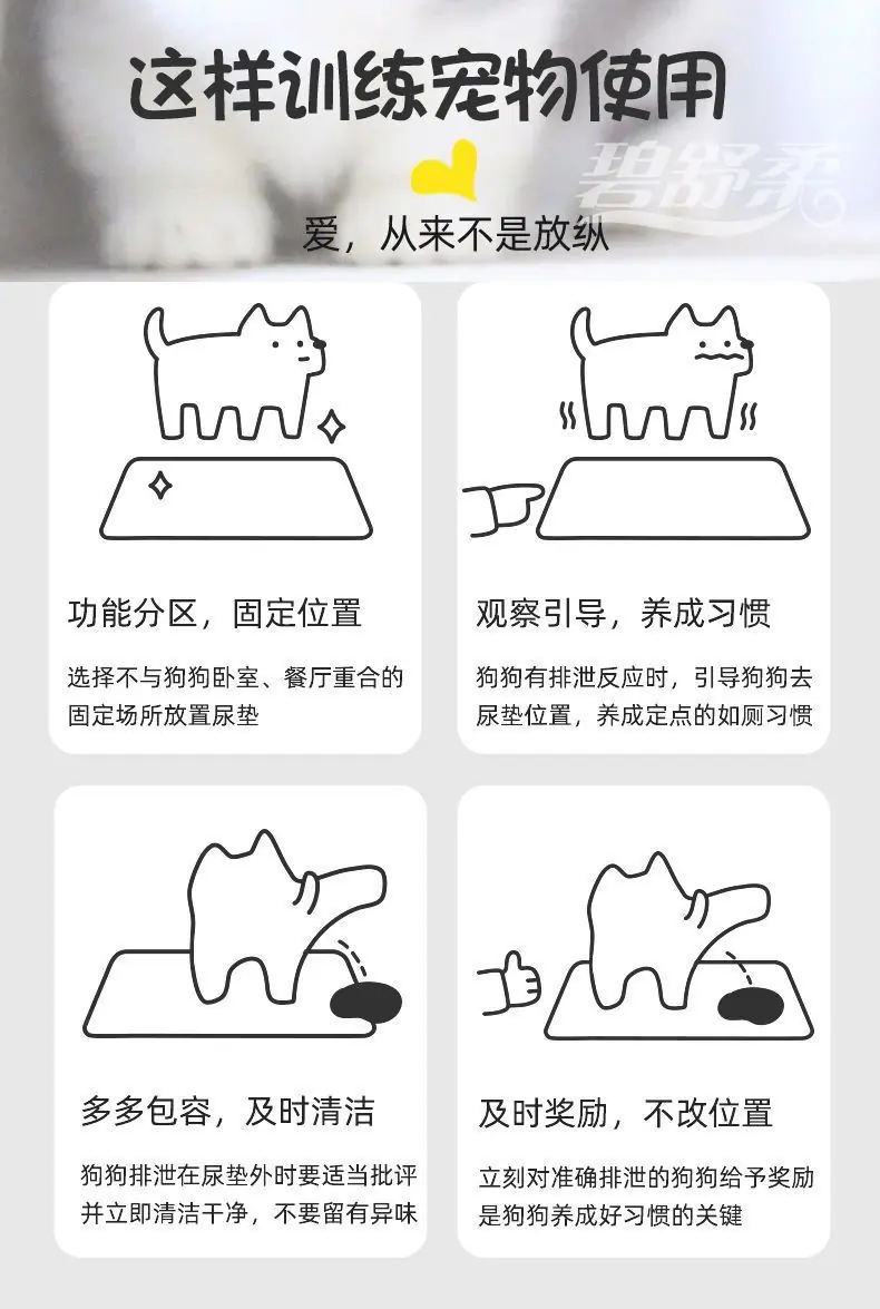6529460b-d61b-47e6-a413-35b0374a6ba3.jpe
