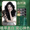 Crema de Tinte para el Cabello de Dosis Única Miaoyan para Uso en Casa, No Mancha el Cuero Cabelludo, Extractos Naturales de Plantas, Cuida y Tiñe el Cabello Naturalmente