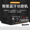 Amplificador digital de control remoto con micrófono dual de 12 V y doble canal para coche y hogar, amplificador de potencia inteligente Bluetooth multifunción