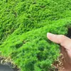 Grama de Musgo Sintético Paisagismo Interno Decoração Versátil Bonsai Micro Paisagem Pavimentação com Flocagem Musgo Artificial Parede de Plantas Verdes