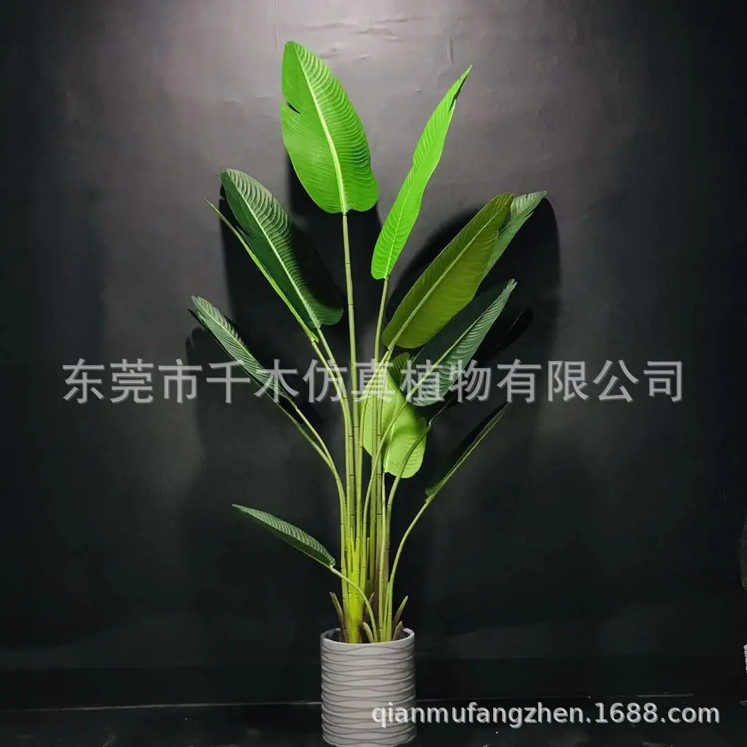 微信图片_2019081919454128