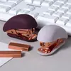 Novos Materiais de Encadernação Coloridos para Escritório Grampeador Binder Clips de Papel Conjunto de Papelaria Conjunto de Escritório Transfronteiriço Atacado