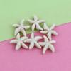 Acrílico Imitación Turquesa Agrietado Estrella de Mar Pentagrama Calabaza Cuentas Sueltas Irregulares Geométricas Cuentas con Agujero Pasante Accesorios para Joyería DIY