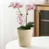 Maceta Florero Baoshi Cerámica Diámetro Grande Personalizada Creativa Hogar Phalaenopsis Suculenta Maceta Sala de Estar Balcón Plantación