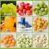 Pelador de Frutas y Verduras Doméstico y Comercial Más Vendido Transfronterizo, Máquina Peladora de Uvas, Pelador Eléctrico para Tiendas de Té de Leche y Frutas