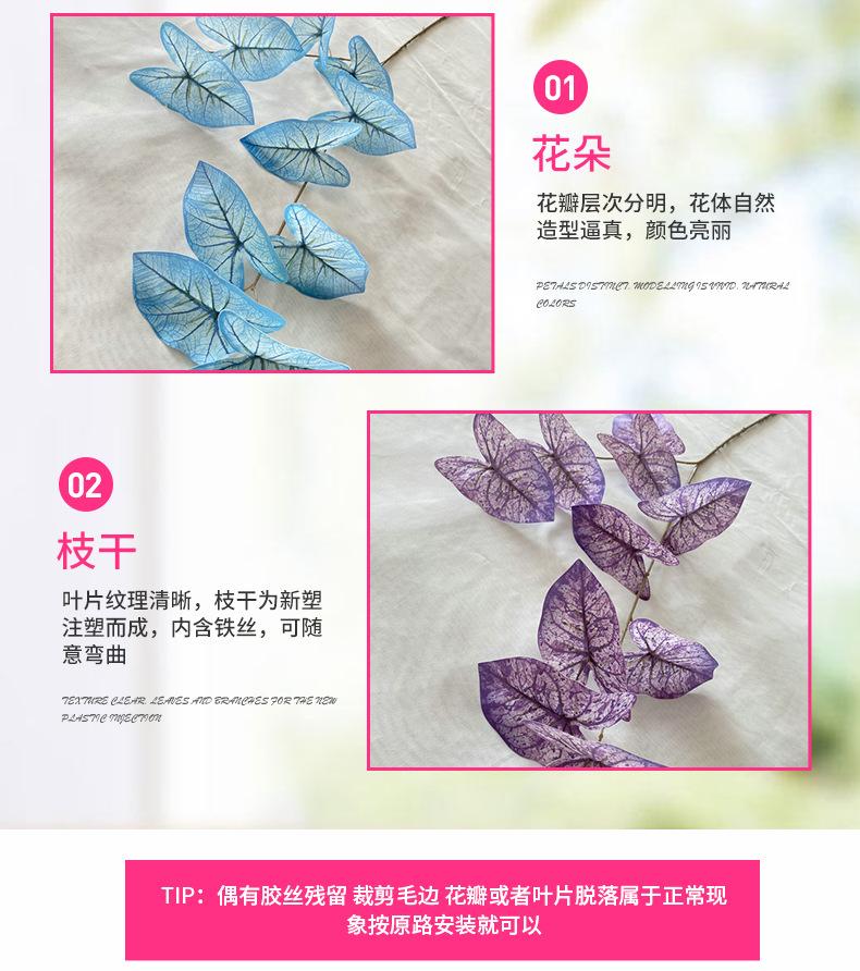 产品细节2-最终.jpg