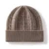 Cachemira 2025 Otoño e Invierno Nuevo Estilo Unisex Moda Versátil Casual Cálido Protección para Orejas y Frío Gorro de Punto