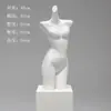 Accesorios para Modelos de Lencería, Maniquíes de Medio Cuerpo Femeninos y Masculinos, Figuras de Plástico para Exhibir Sujetadores y Ropa Interior, Exhibidores para Escaparates