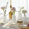Vaso Pequeno Retro Acessível para Exportação Luxo Vidro Transparente Ins Ornamentos Decorativos Arranjo de Flores Medieval Conjunto de Alto Padrão
