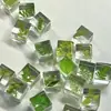 Cubo de Planta de Resina Hecho a Mano Producto Terminado, Espécimen 3D, Flor Preservada, Regalo para Amigos, Forma de Cubo