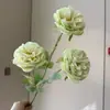 2026 Nuevo Modelo Plantas Verdes Artificiales Hierba de Espárrago Asparagus Asparaginea Decoración de Boda Flores Falsas Verdes Paisajismo Fotografía Plantas Verdes Estilo Bosque