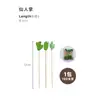 Palillos Desechables para Frutas Brochetas de Bambú Palillos de Flores Tenedores para Frutas Palillos para Sushi Tenedores Palillos Creativos para Cócteles Palillos para Postres Envío Gratis