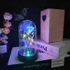 Flor Preservada Cubierta Acrílica Rosa con Lámina de Oro con Lámpara Cálida LED Regalo de San Valentín Regalo de Cumpleaños Suministro Transfronterizo
