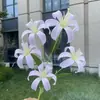 5 Cabeças de Lírio Chama Jinhan Flores Artificiais Casamento Decoração de Casa Flores Artificiais Atacado