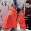 Perro de peluche Schnery Perro pequeño Perro de peluche Perro de oso Ropa de otoño Ropa de dos patas Sudadera con capucha